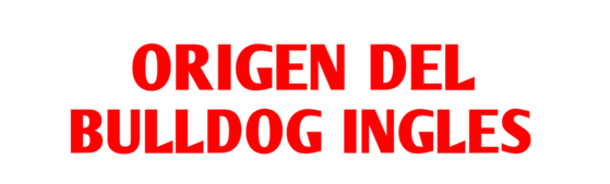 origen-bulldog-ingles.png